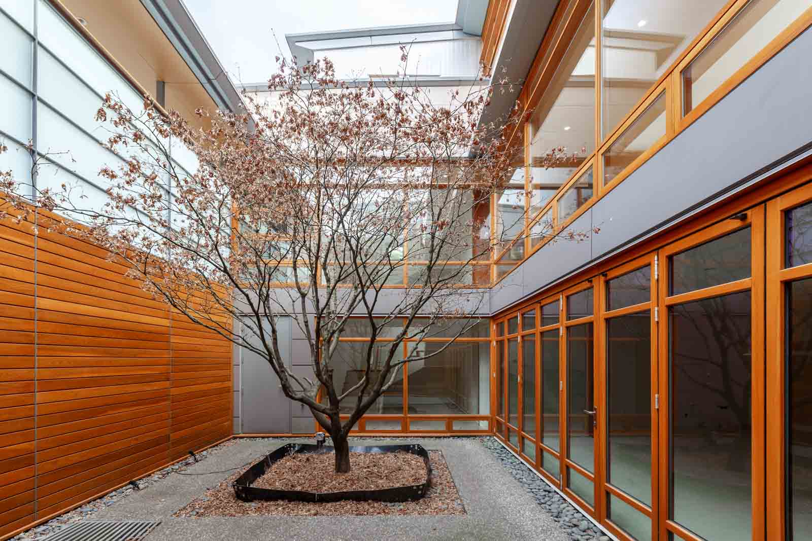 Interior courtyard with tree inside West Vancouver luxury rental home.