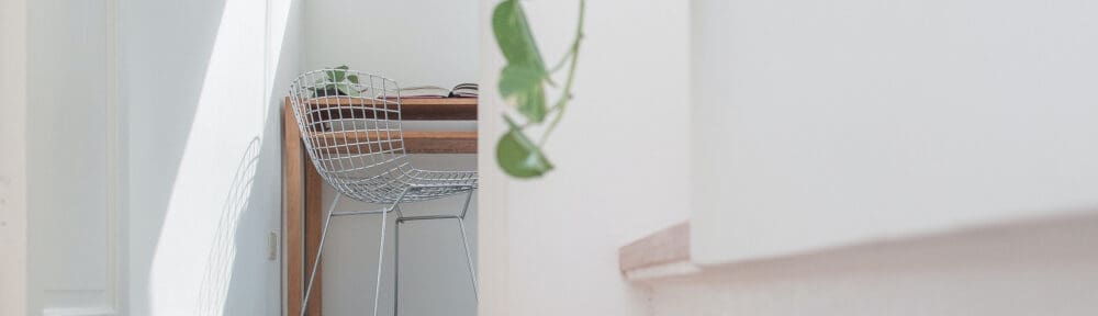 office with light coming in through window and green vine running down wall