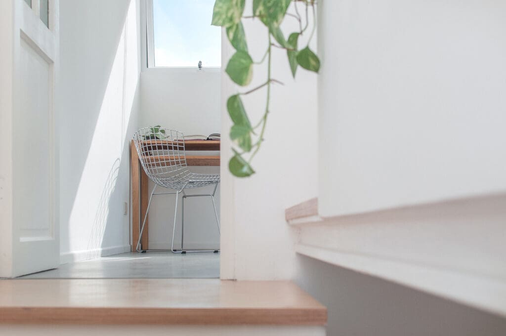office with light coming in through window and green vine running down wall