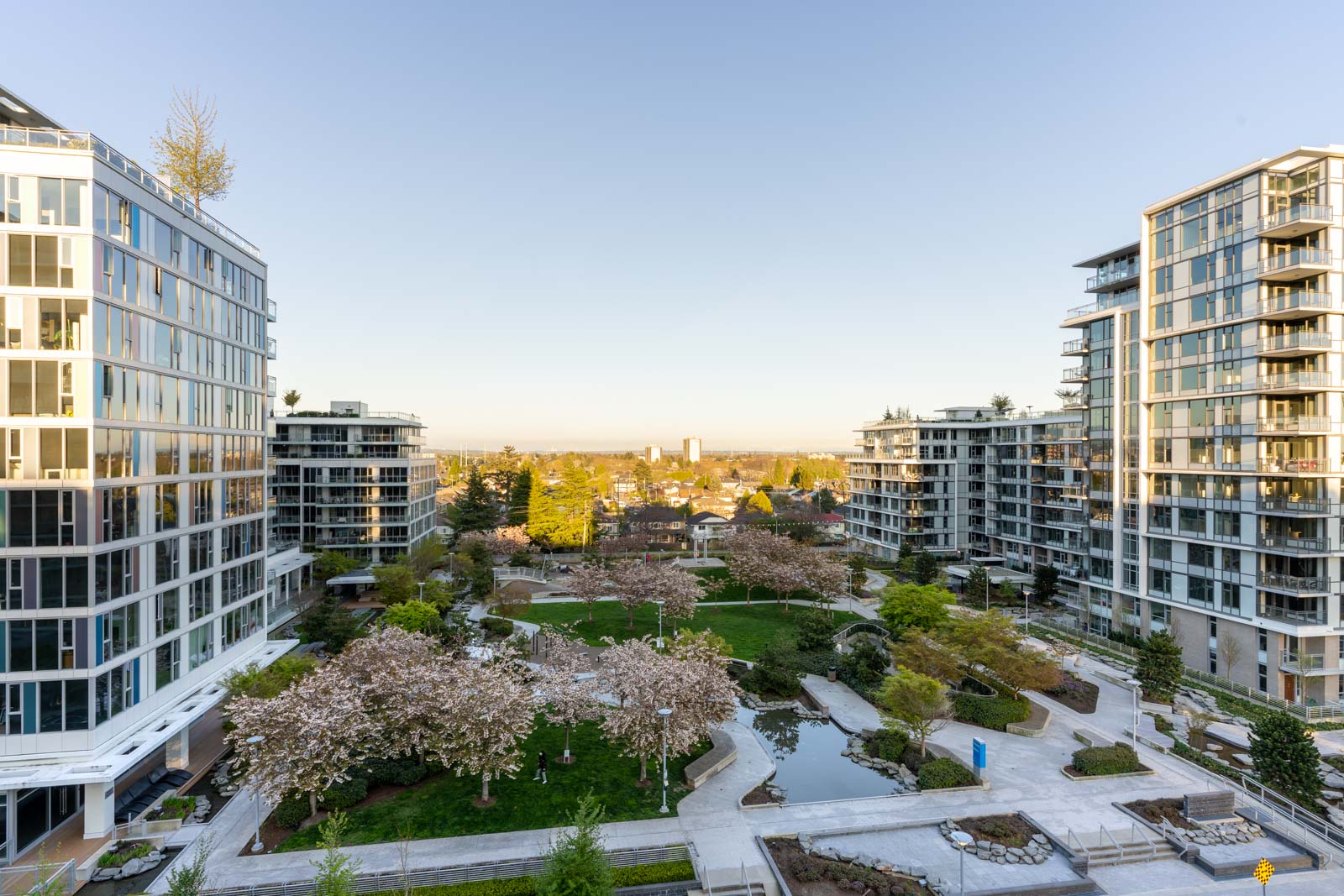 view from balcony at a cherry blossom trees and green grass