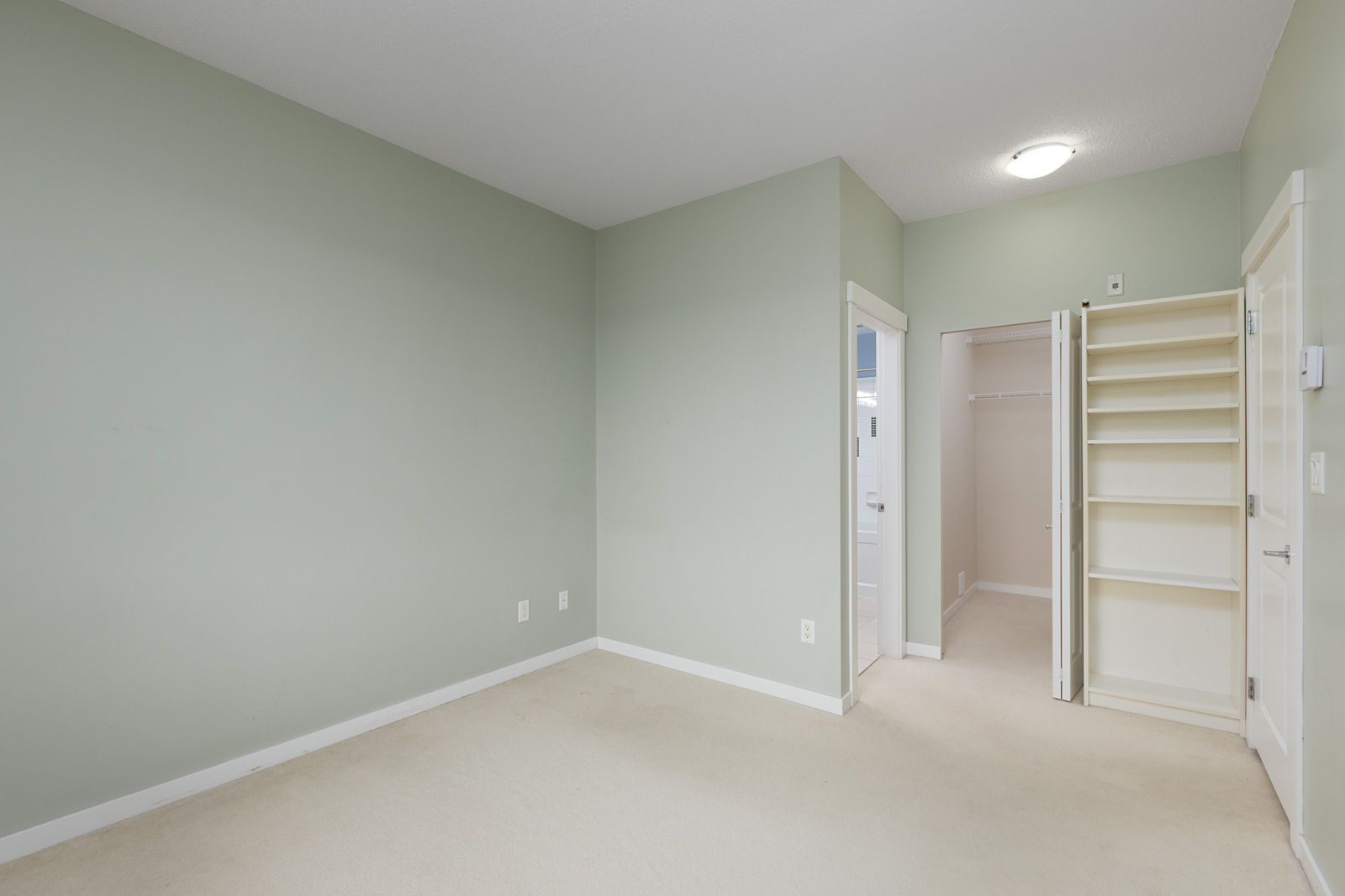 Empty room with light green walls, beige carpet, a lit ceiling light, and an open door revealing built-in shelves and a small closet.