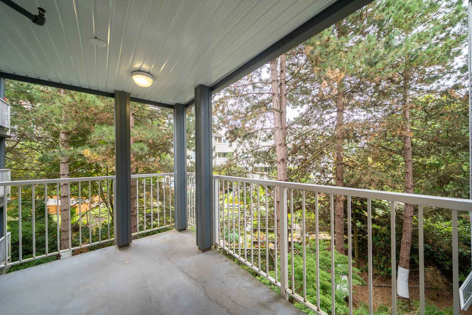 Covered balcony with white railing overlooking a landscaped area with pine trees.