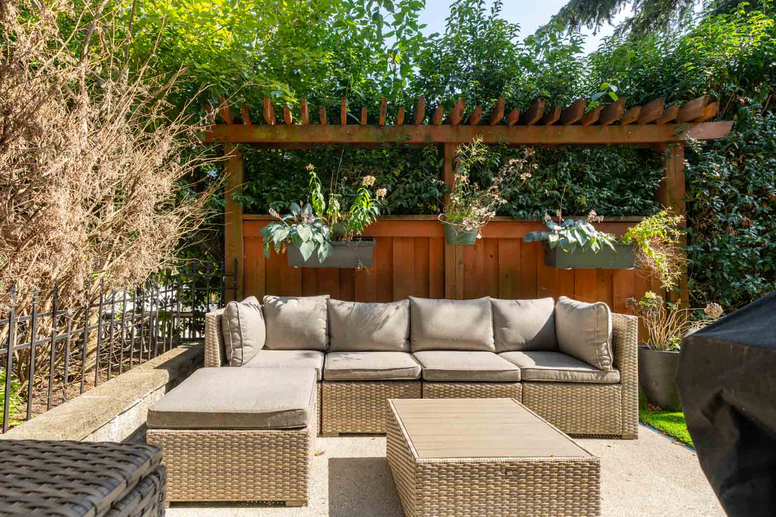 A backyard with patio furniture and a green lawn. There is a wooden fence with plants behind an outdoor couch, and trees behind an iron fence to the left.
