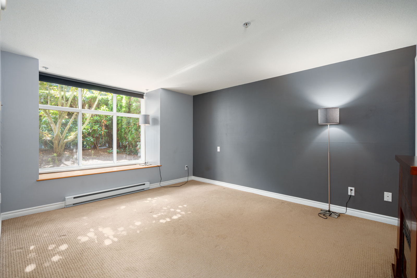 A bedroom with a large window, gray walls, beige carpet, and a floor lamp. The window overlooks greenery.