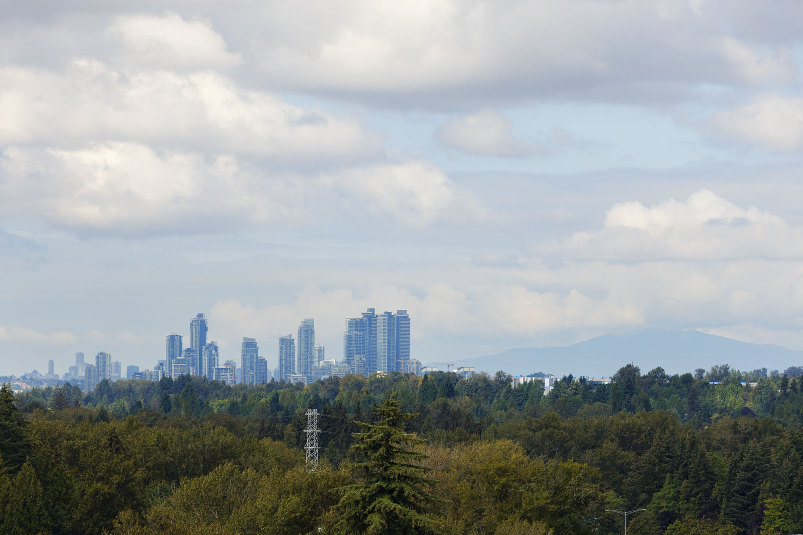 A city skyline with tall buildings is visible in the distance beyond a landscape of dense green trees under a cloudy sky.