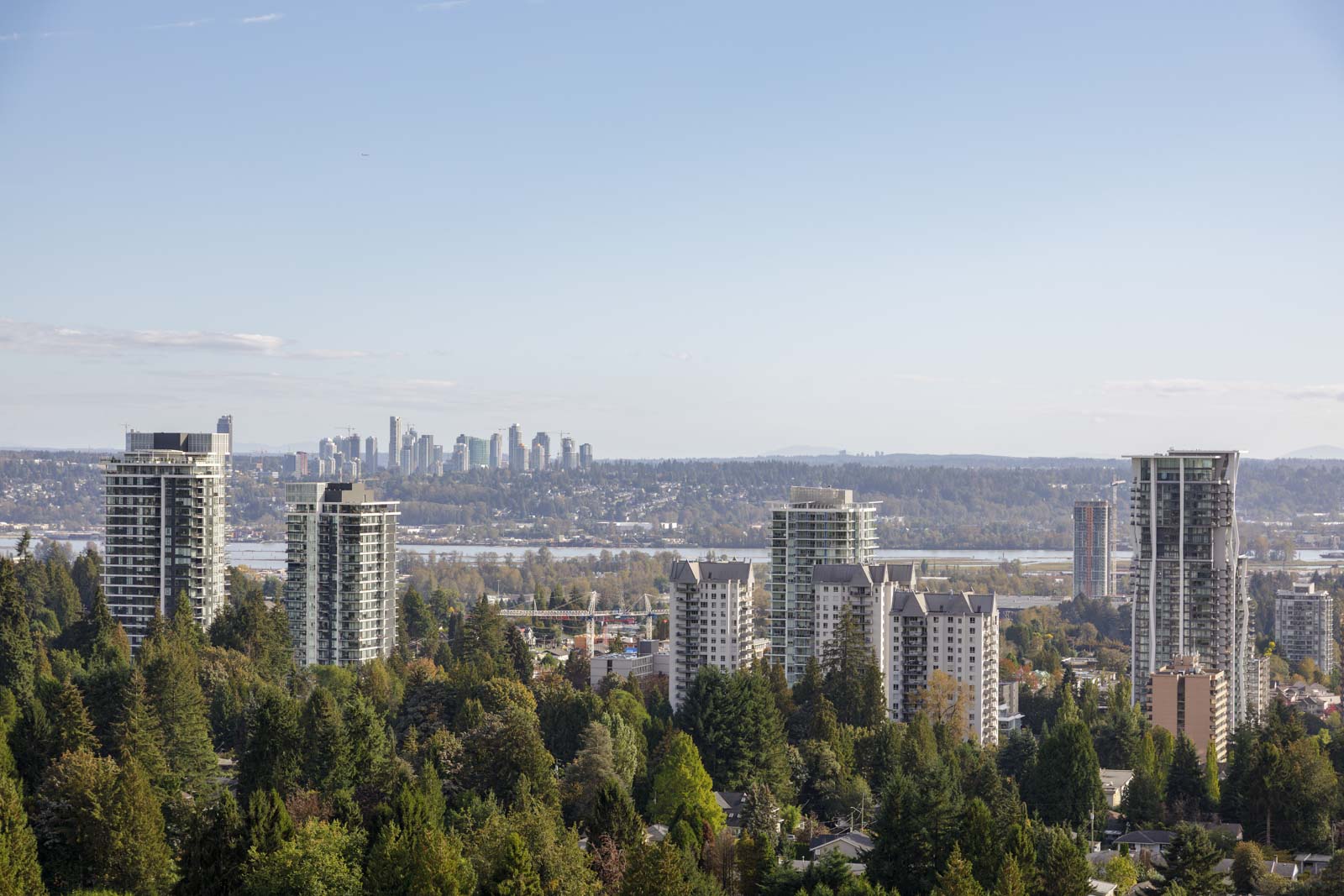 A cityscape view featuring tall buildings and skyscrapers in the distance, surrounded by trees under a clear blue sky.