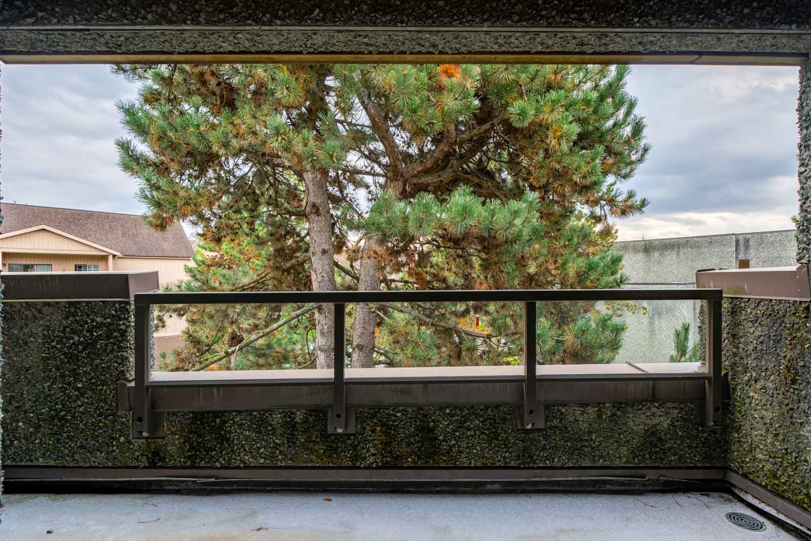 View of a tree through a window with a metal railing, framed by walls covered in greenery, under a cloudy sky.