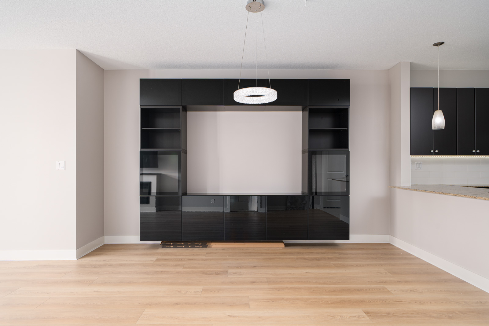 Empty room with light wood flooring, black wall unit, and two pendant lights.