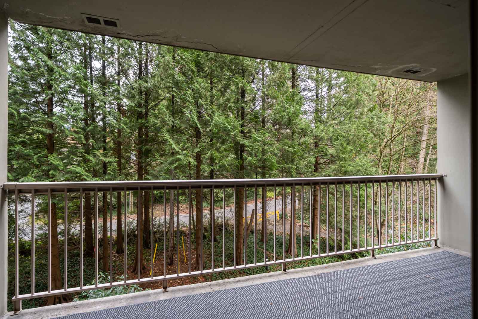 A balcony with a metal railing overlooks a forested area with tall evergreen trees.