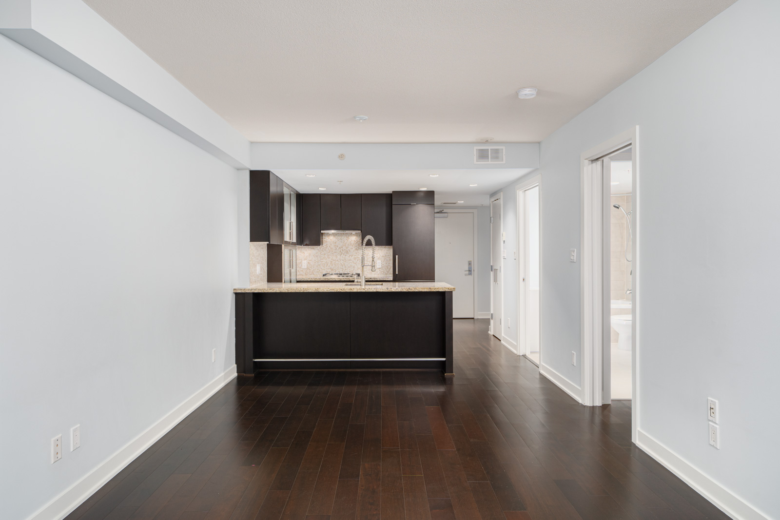 Modern open-concept kitchen and living area with dark wood flooring, light blue walls, and dark cabinetry. Doorways lead to additional rooms.
