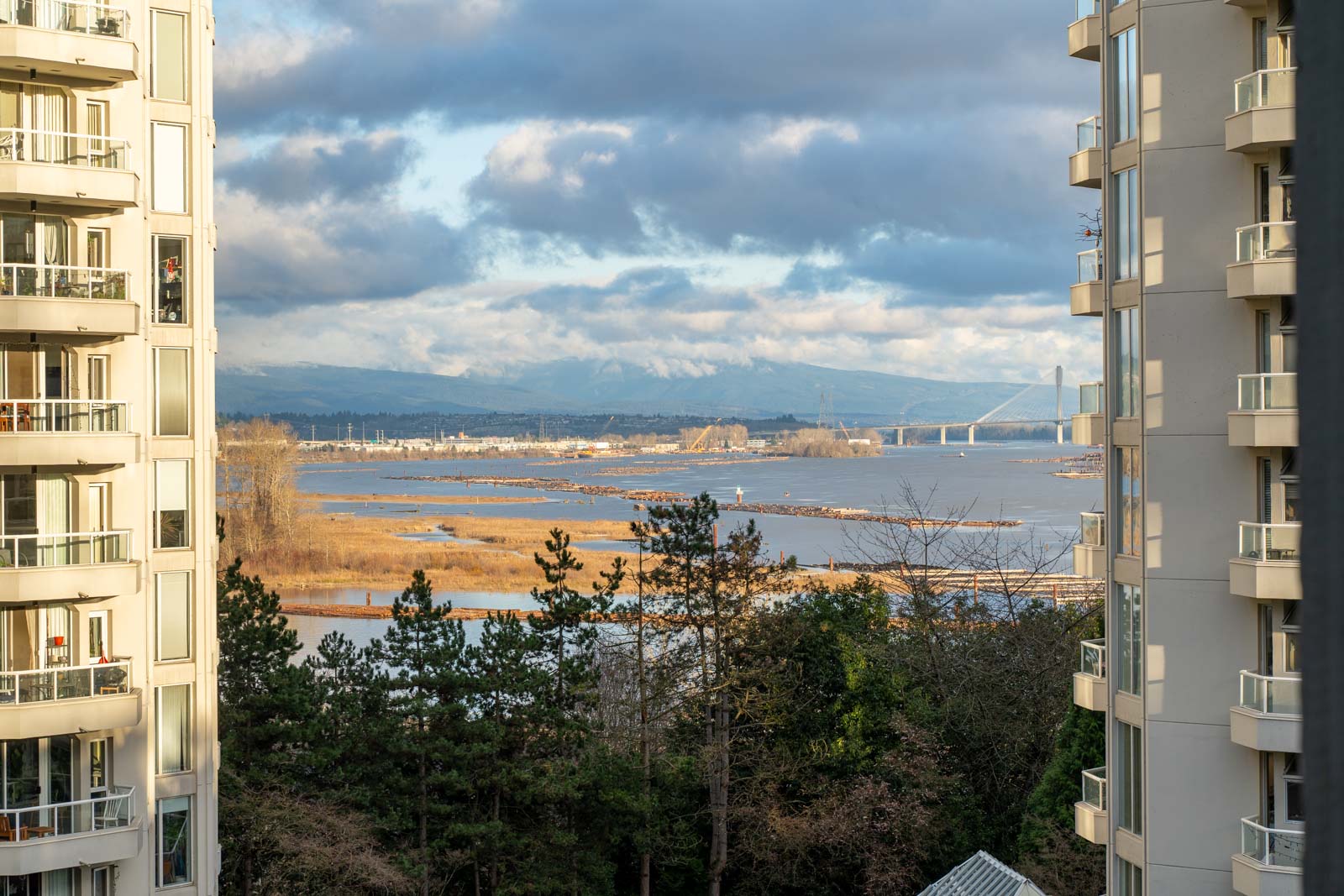 View of a river with a bridge in the distance, framed by two tall residential buildings and trees in the foreground under a cloudy sky.