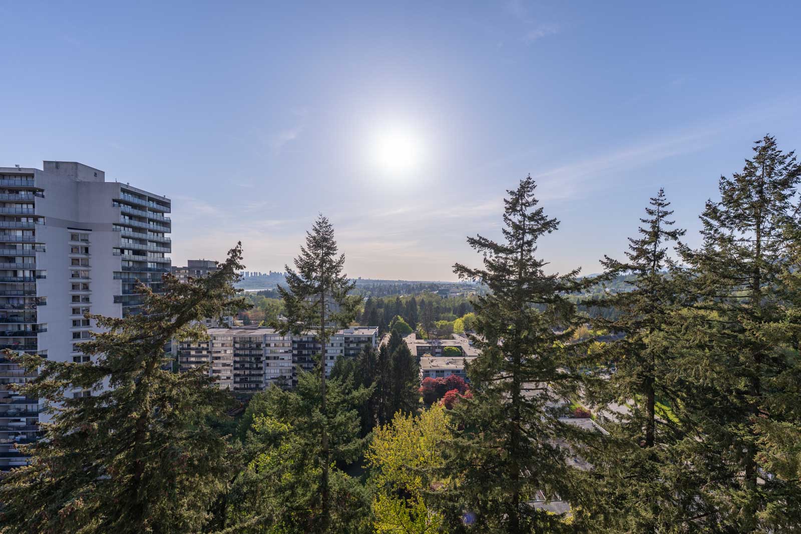 View of residential high-rise buildings and tall trees under a clear sky with the sun shining brightly above the horizon.
