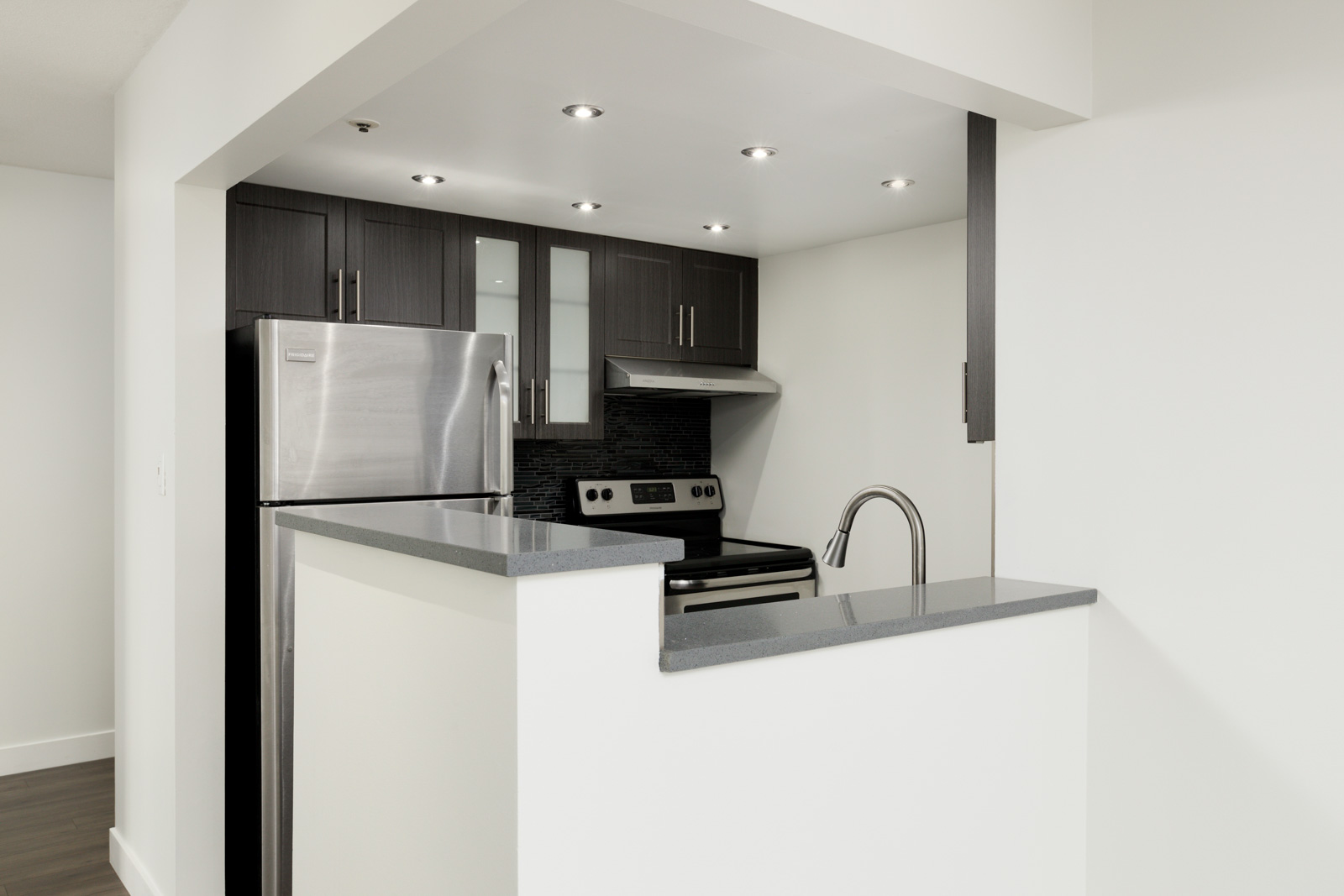 Modern kitchen with stainless steel appliances, dark cabinets, a gray countertop, and recessed ceiling lights.