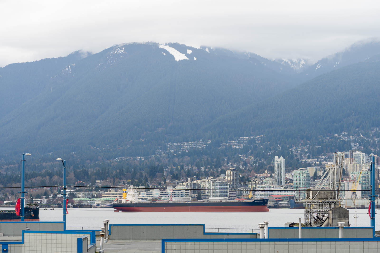 A large cargo ship is anchored in a harbor with a cityscape and tree-covered mountains in the background.