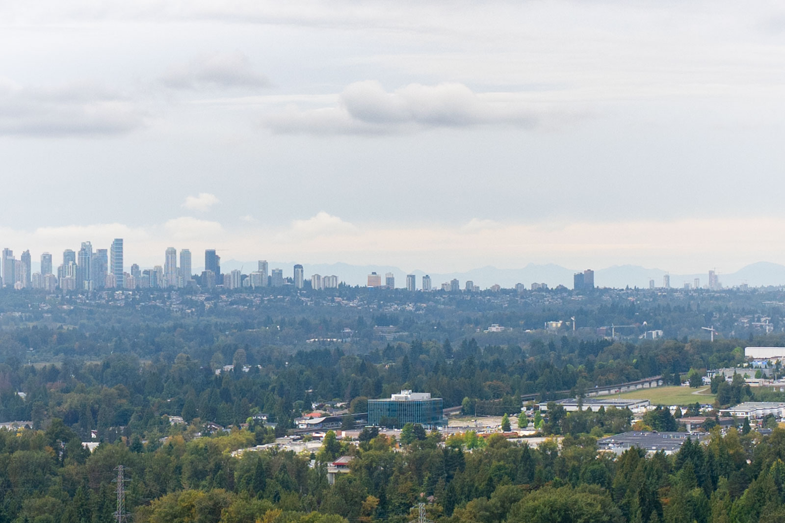 Distant city skyline with high-rise buildings under a cloudy sky, surrounded by a large area of trees and some smaller buildings in the foreground.