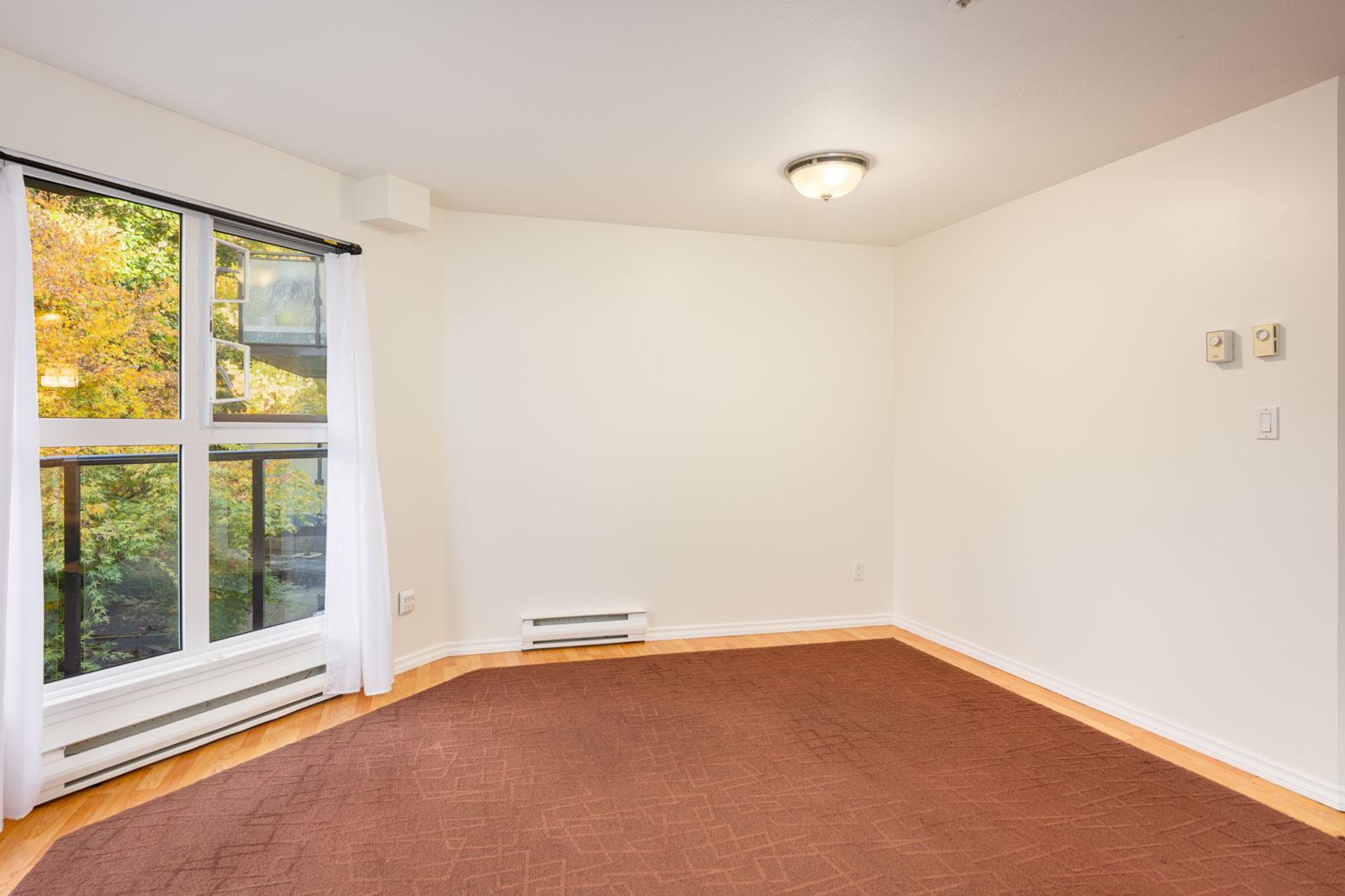 Empty room with white walls, brown carpet, a large window with sheer white curtains, and a ceiling light fixture. Trees are visible outside the window.